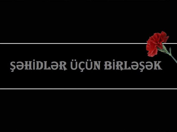 Sumqayıtlı gənclərdən yeni layihə: "Şəhidlər üçün birləşək"  - VİDEO