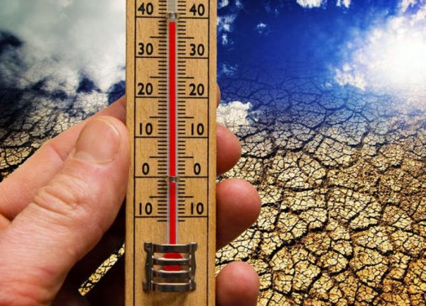 15 May - Beynəlxalq İqlim Dəyişikliyi Günüdür