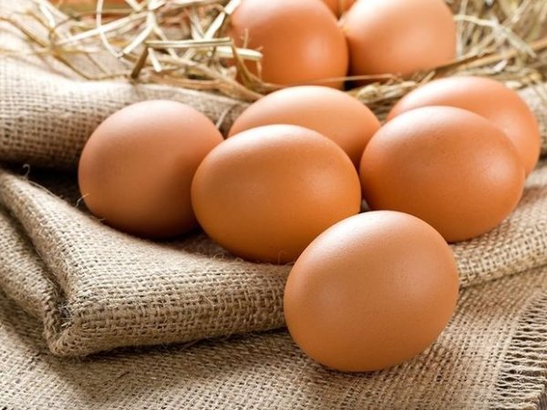 Yumurtanın qiyməti 30 faiz bahalaşıb