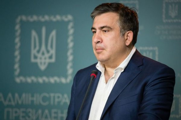 Niderland Saakaşvilini qəbul etməyə hazırdır