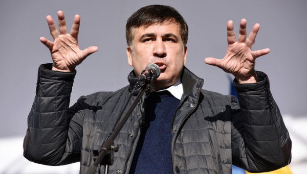 Saakaşvili: İndi özümü azad quş kimi hiss edirəm