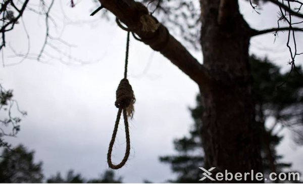 Sumqayıtda "Göyərçin" abidəsinin yaxınlığında intihar: 36 yaşlı kişi özünü ağacdan asdı