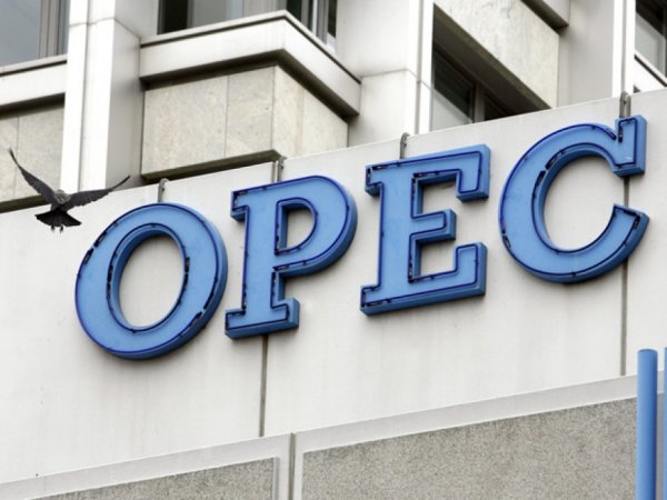OPEC Qətərin təşkilata üzvlükdən çıxmasını şərh edib