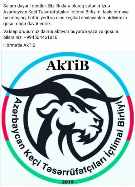 Azərbaycanda yeni birlik yaradılır: keçi təsərrüfatçılarını öz ətrafında birləşdirəcək - FOTO