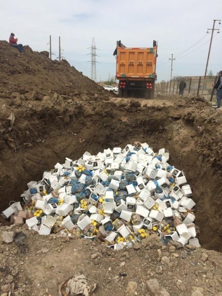 Sumqayıtda 28 ton istifadəyə yararsız qida məhsulu məhv edildi -  FOTO