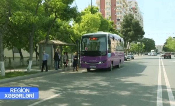 Sumqayıtda avtobuslara qarşı reyd keçirib - VİDEO