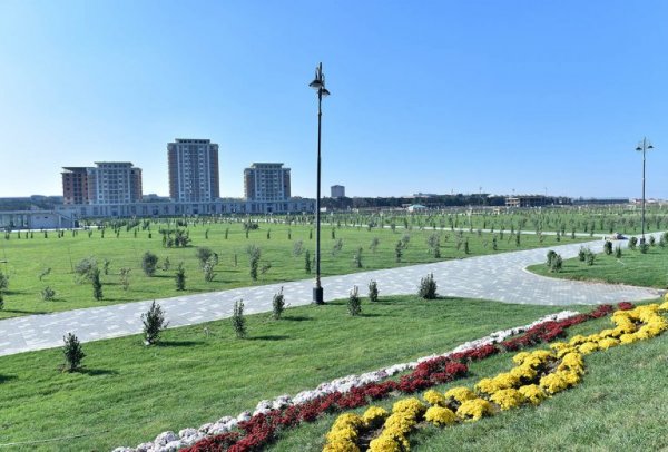 Zakir Fərəcov genişləndirilən bulvar ərazisində – FOTOLAR