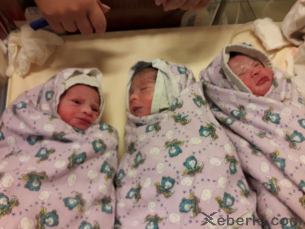 Sumqayıtda Məlikovlar ailəsinin yeni dünyaya gələn üçəmləri: Mehriban, Leyla və Arzu - FOTO
