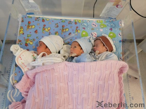 Sumqayıtda Məlikovlar ailəsinin yeni dünyaya gələn üçəmləri: Mehriban, Leyla və Arzu - FOTO
