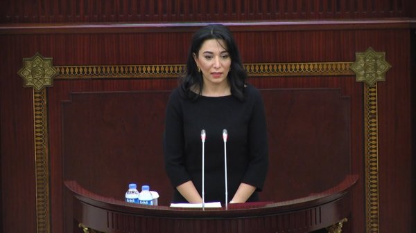 Yeni Ombudsman Milli Məclisdə hesabat verəcək