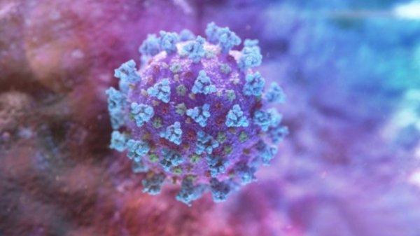 AMEA məlumat yaydı: Koronavirusu bloklayan süni virus yaradıldı