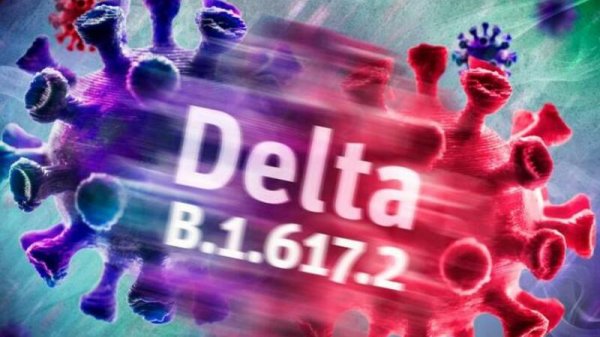 "Delta" ştammı bu ölkədə sürətlə yayılır