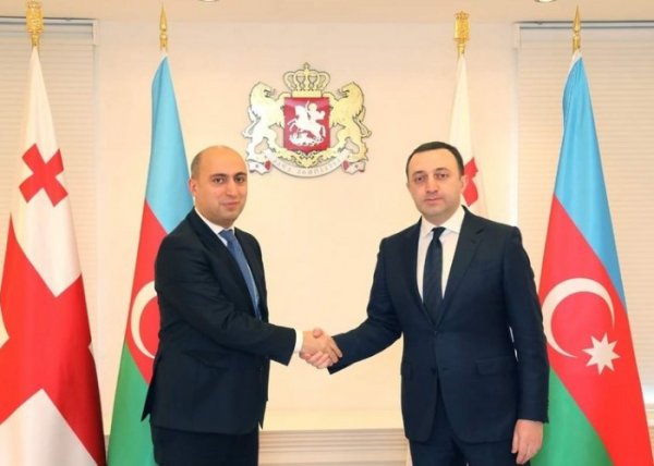 Emin Əmrullayev Qaribaşvili ilə görüşdü