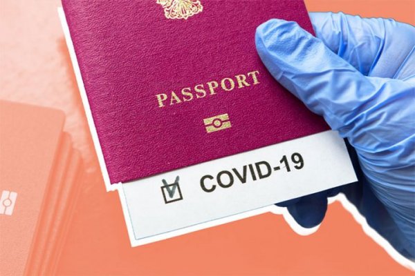 COVID pasportu ləğv edilir? - TƏBİB-dən cavab