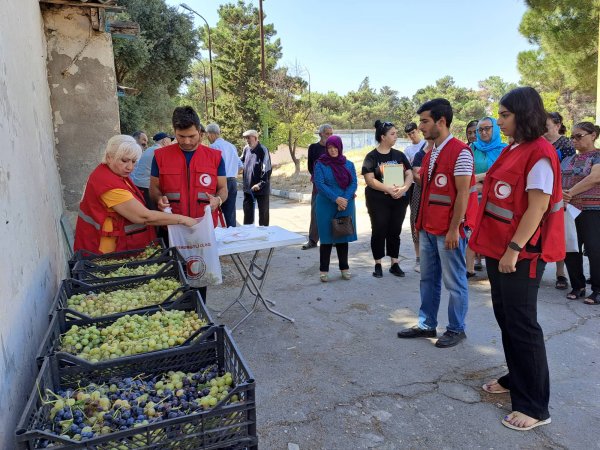 Sumqayıtda xeyirxah aksiya: 160 ailəyə üzüm paylandı - FOTO