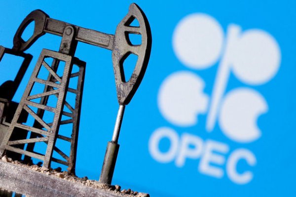 OPEC təşkil etdiyi tədbirə jurnalistləri buraxmayacaq