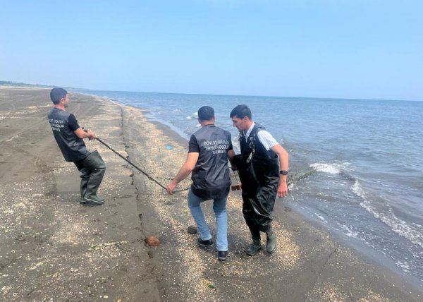Sumqayıt və digər ərazidəki su hövzələrindən sintetik torlar yığışdırılıb - FOTOLAR