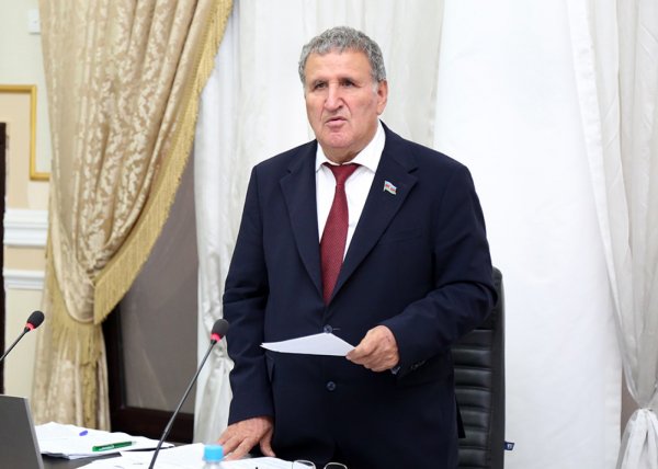 “Azərbaycan Milli Ensiklopediyası”na 40 yeni söz əlavə olundu