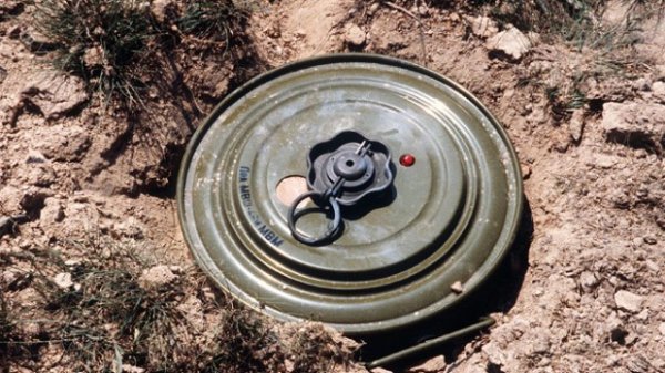Azad edilmiş ərazilərdə daha 81 mina aşkarlandı
