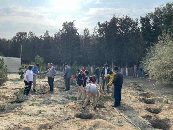 Sumqayıtda 114 şəhidin xatirəsi belə əbədiləşdirildi - FOTO