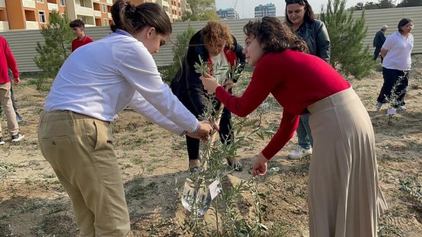 Sumqayıtda 114 şəhidin xatirəsi belə əbədiləşdirildi - FOTO