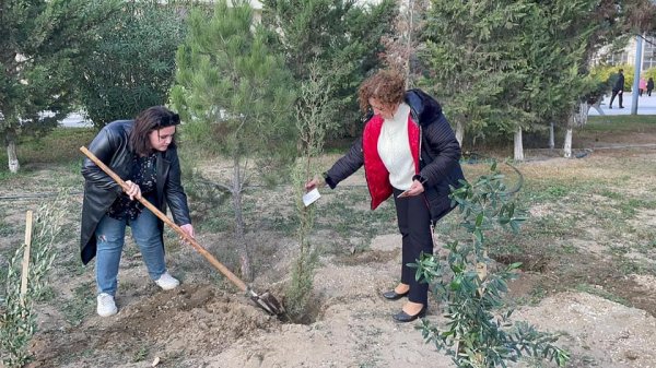 Sumqayıtda 114 şəhidin xatirəsi belə əbədiləşdirildi - FOTO