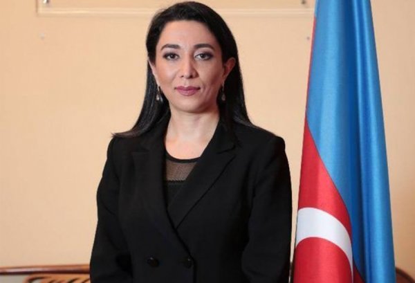 Ombudsman: “Ermənistan mina terroruna görə Azərbaycana təzminat ödəməlidir”