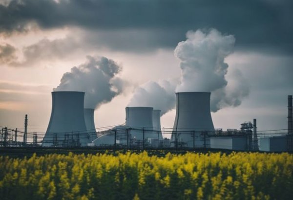 Yaponiyada atom elektrik stansiyasında buxar sızması baş verib