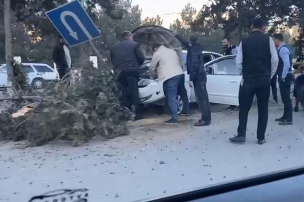Sumqayıtda maşın bir neçə ağacı və yol nişanını yerindən qopardı (Foto) (Video)