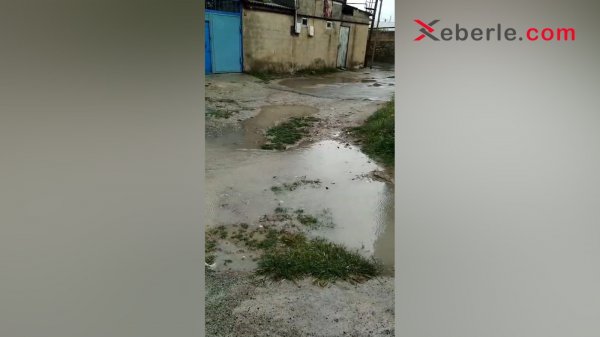 Sumqayıtda külək və yağışın fəsadları: Yazda payıza hazır olmayan sakinlər (FOTO + VİDEO)