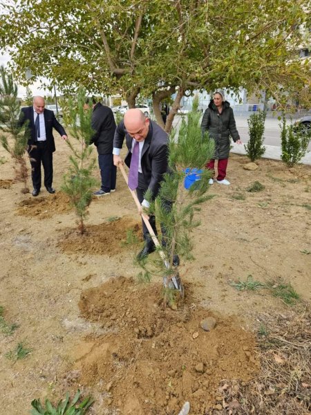 Sumqayıt Tibb Mərkəzinin (STM) nəzdindəki tibb müəssisələrində ağacəkmə aksiyaları keçirilib