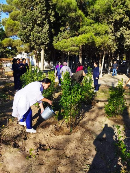 Sumqayıt Tibb Mərkəzinin (STM) nəzdindəki tibb müəssisələrində ağacəkmə aksiyaları keçirilib