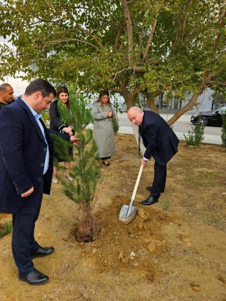 Sumqayıt Tibb Mərkəzinin (STM) nəzdindəki tibb müəssisələrində ağacəkmə aksiyaları keçirilib