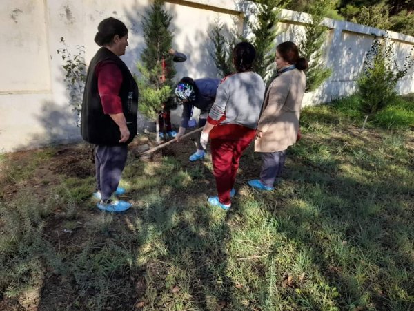 Sumqayıt Tibb Mərkəzinin (STM) nəzdindəki tibb müəssisələrində ağacəkmə aksiyaları keçirilib