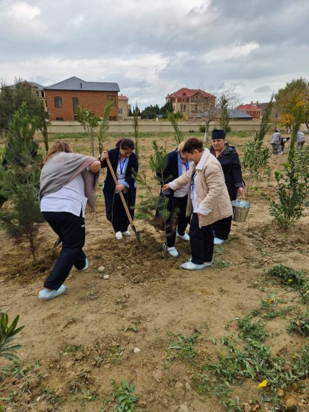 Sumqayıt Tibb Mərkəzinin (STM) nəzdindəki tibb müəssisələrində ağacəkmə aksiyaları keçirilib