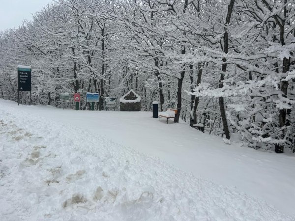 "Yaşıl dünya naminə həmrəylik" ilində ən çox ziyarət olunan milli parklar - FOTOLAR