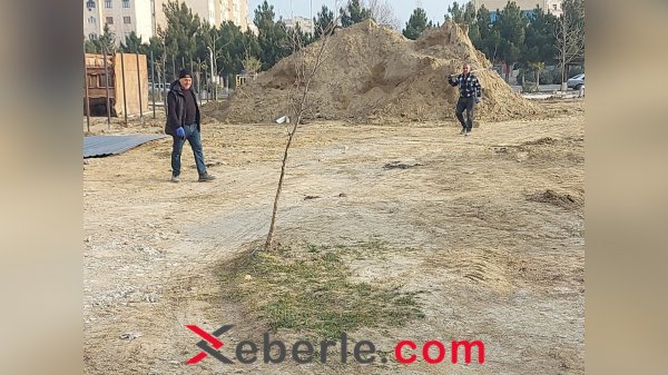 Sumqayıtda Heydər Əliyev parkında nə tikilir? 
