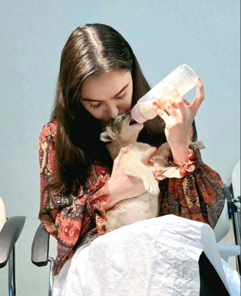 Leyla Əliyevanın şir balası ilə maraqlı görüntüsü