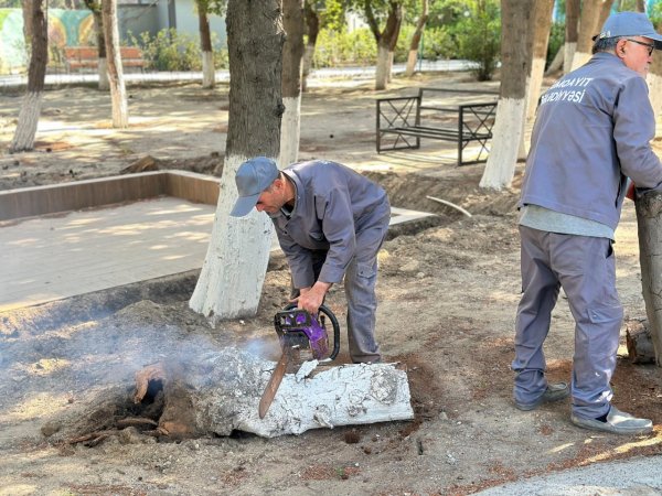 Sumqayıt bələdiyyəsi genişmiqyaslı iməcilik keçirdi - FOTOLAR