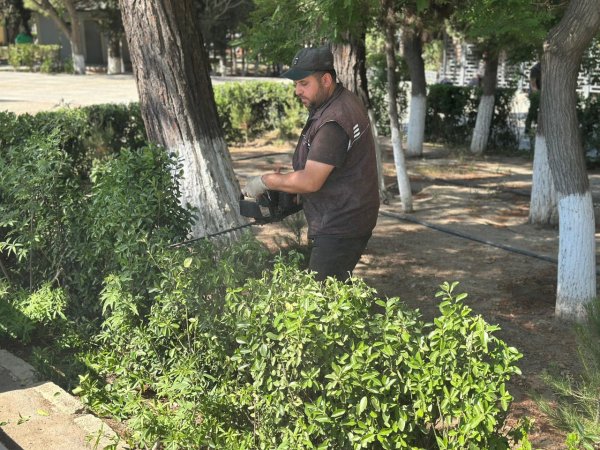 Sumqayıt bələdiyyəsi genişmiqyaslı iməcilik keçirdi - FOTOLAR