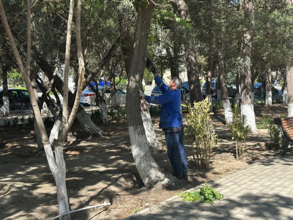 Sumqayıt bələdiyyəsi genişmiqyaslı iməcilik keçirdi - FOTOLAR
