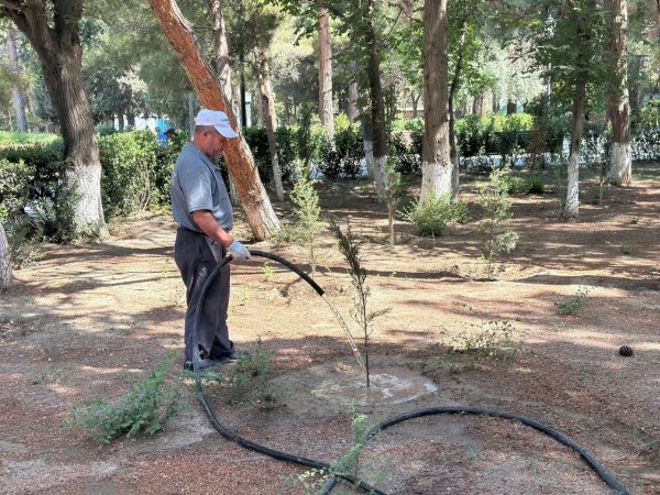 Sumqayıt bələdiyyəsi genişmiqyaslı iməcilik keçirdi - FOTOLAR