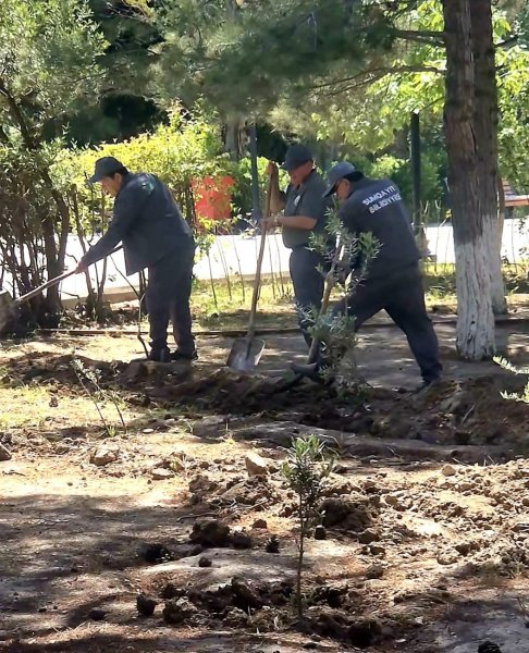 Sumqayıt bələdiyyəsi genişmiqyaslı iməcilik keçirdi - FOTOLAR