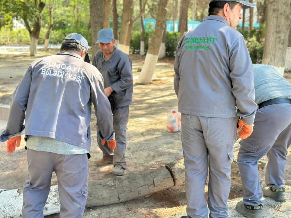 Sumqayıt bələdiyyəsi genişmiqyaslı iməcilik keçirdi - FOTOLAR