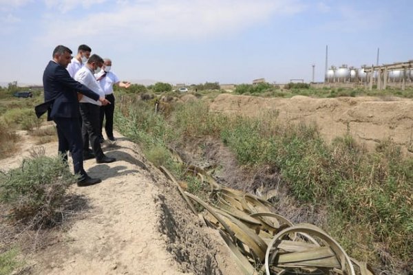 Sumqayıtda "Azərsun Holdinq"ə məxsus müəssisə ilə bağlı inzibati araşdırma başladıldı