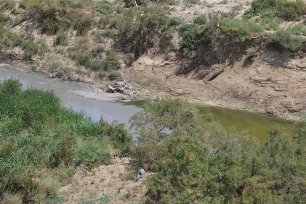 Sumqayıtda "Azərsun Holdinq"ə məxsus müəssisə ilə bağlı inzibati araşdırma başladıldı