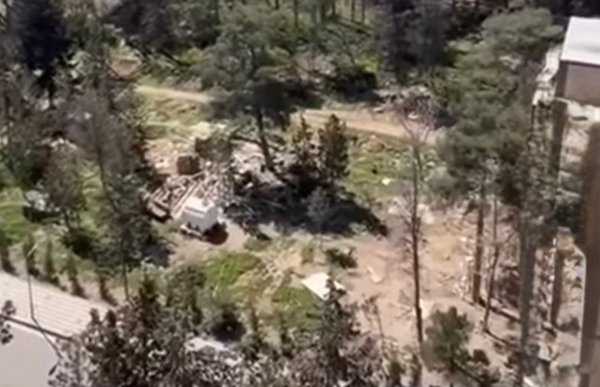 Sumqayıtda  ağac kəsilmə faktı üzə araşdırma başladı Sumqayıtda  ağac kəsilmə faktı üzə araşdırma başladı