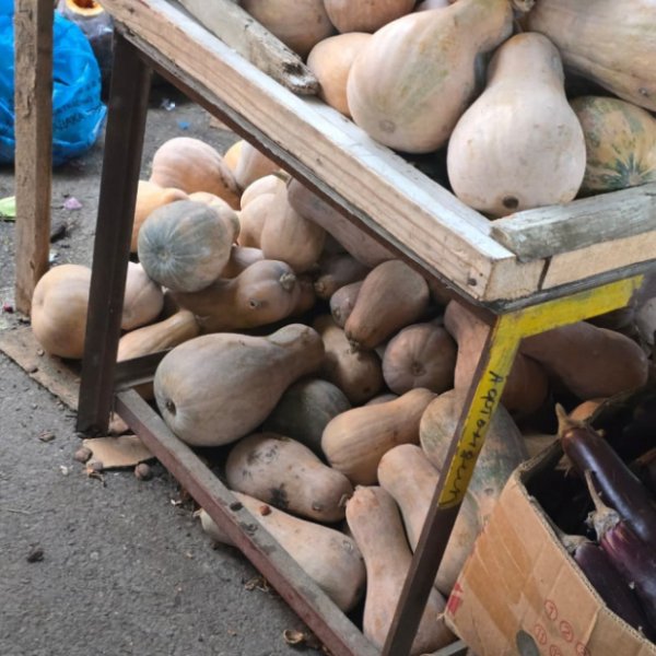 Sumqayıtda "Kənd təsərrüfatı məhsullarının satışı bazarı”nda nöqsanlar aşkarlanıb