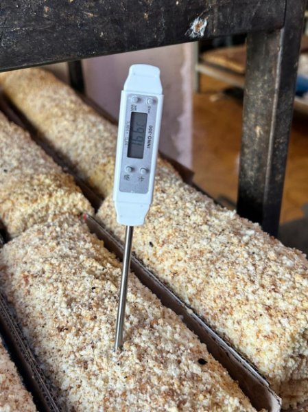 AQTA: Sumqayıtda “Banu” şirniyyat istehsalı müəssisəsində normativ tələblər pozulub