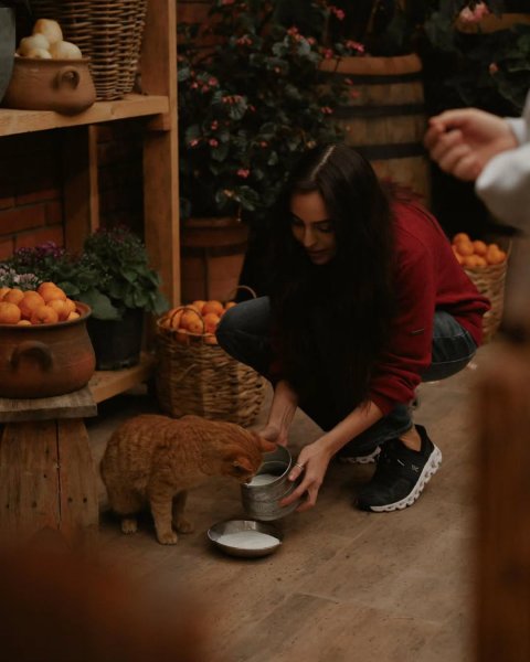 Leyla Əliyeva Qusarda "Kənd Həyatı" layihəsinin qonağı olub - VİDEO (FOTOLAR)